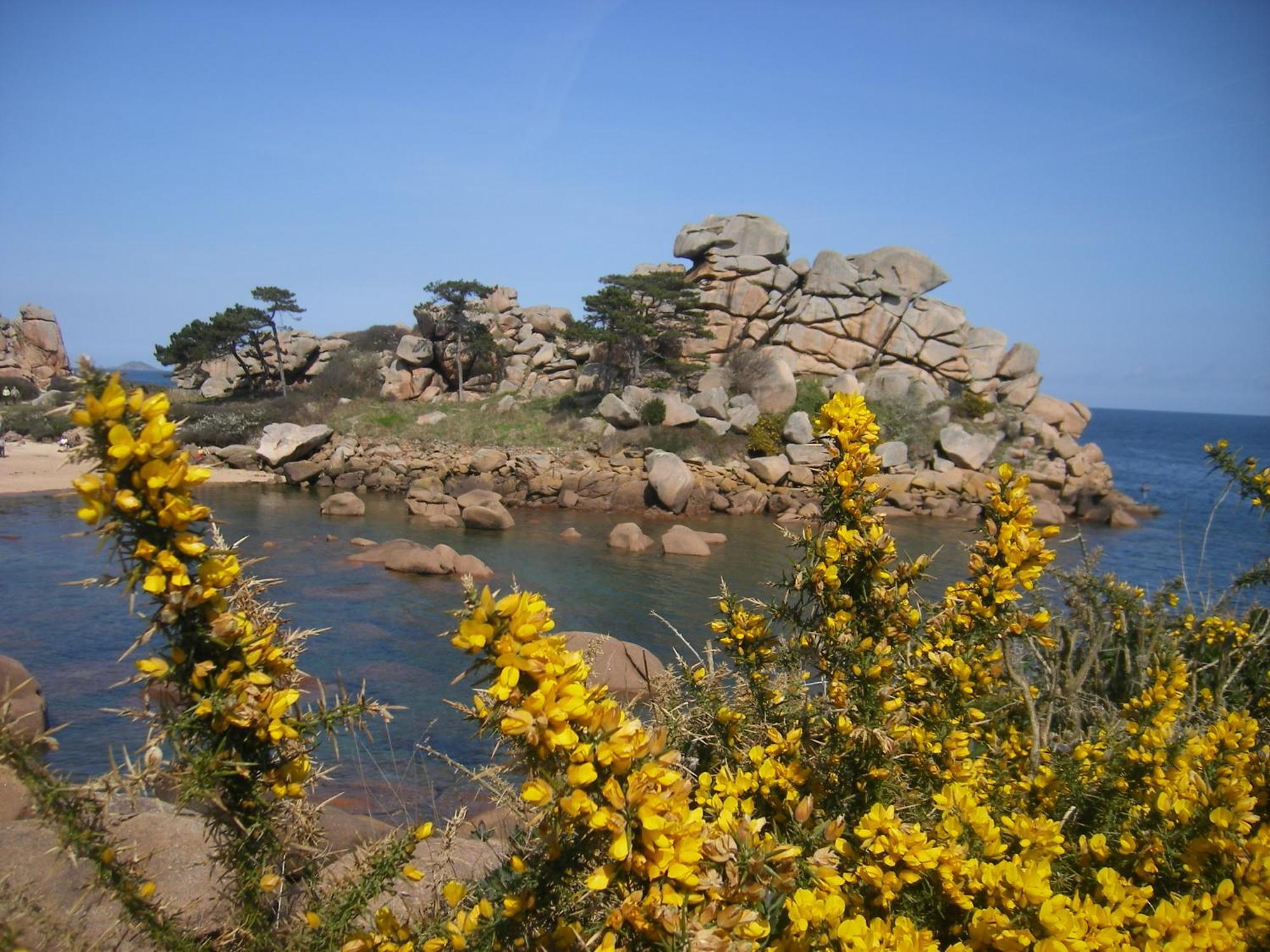 Gite Jours Tranquilles Villa Pleumeur-Bodou Esterno foto